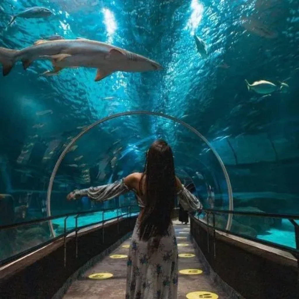 dream vacation destinations