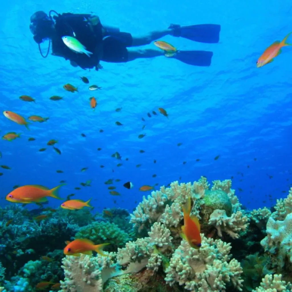 Best destinations in the world