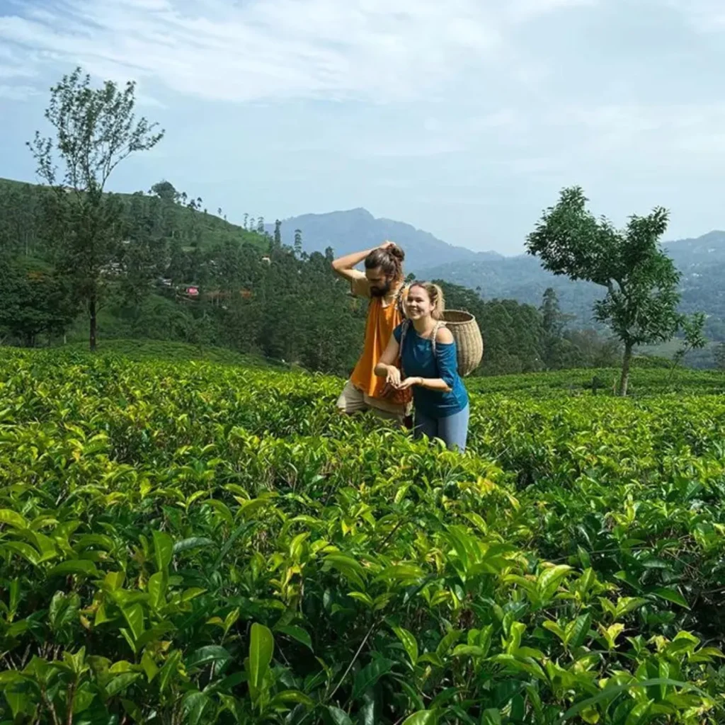 nearest tourist spot