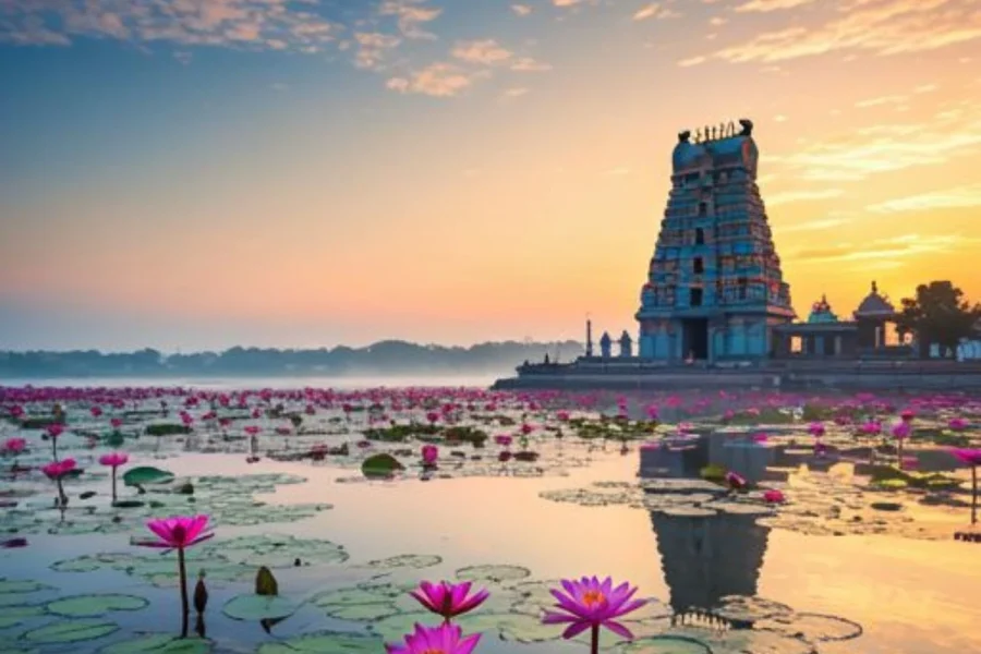 Hill & Temple Combo 4