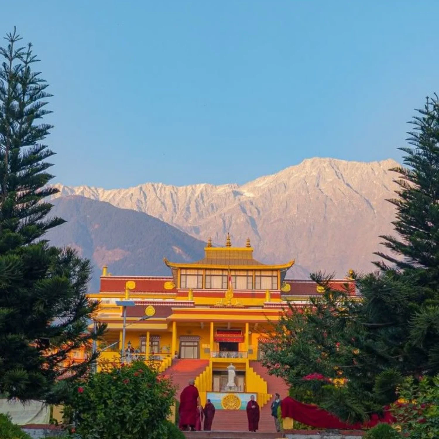 Dharamshala Sightseeing & Departure