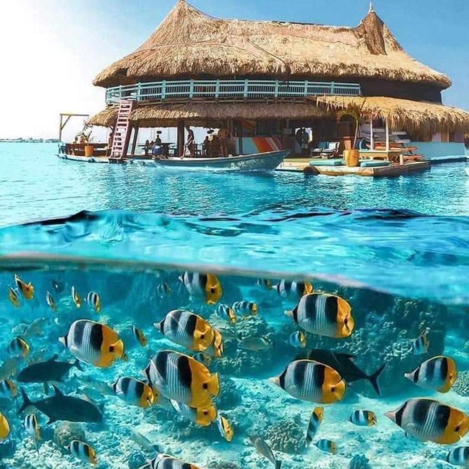 Customizable Luxury Package