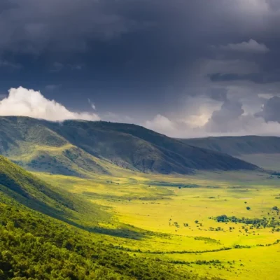 Ngorongoro
