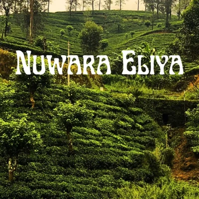 Nuwara Eliya