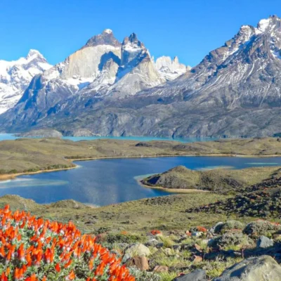 Patagonia