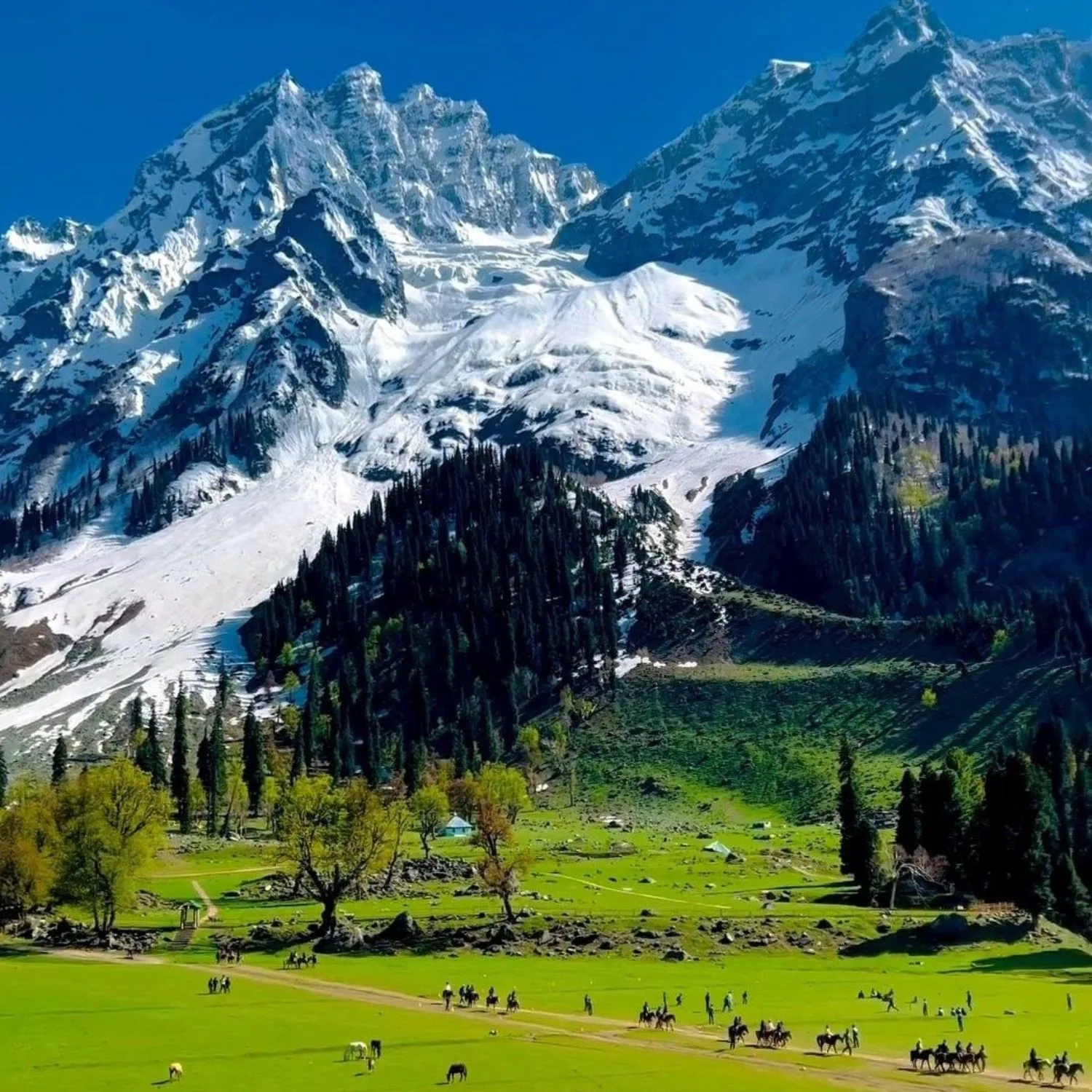 Visit Sonmarg & Glacier Views