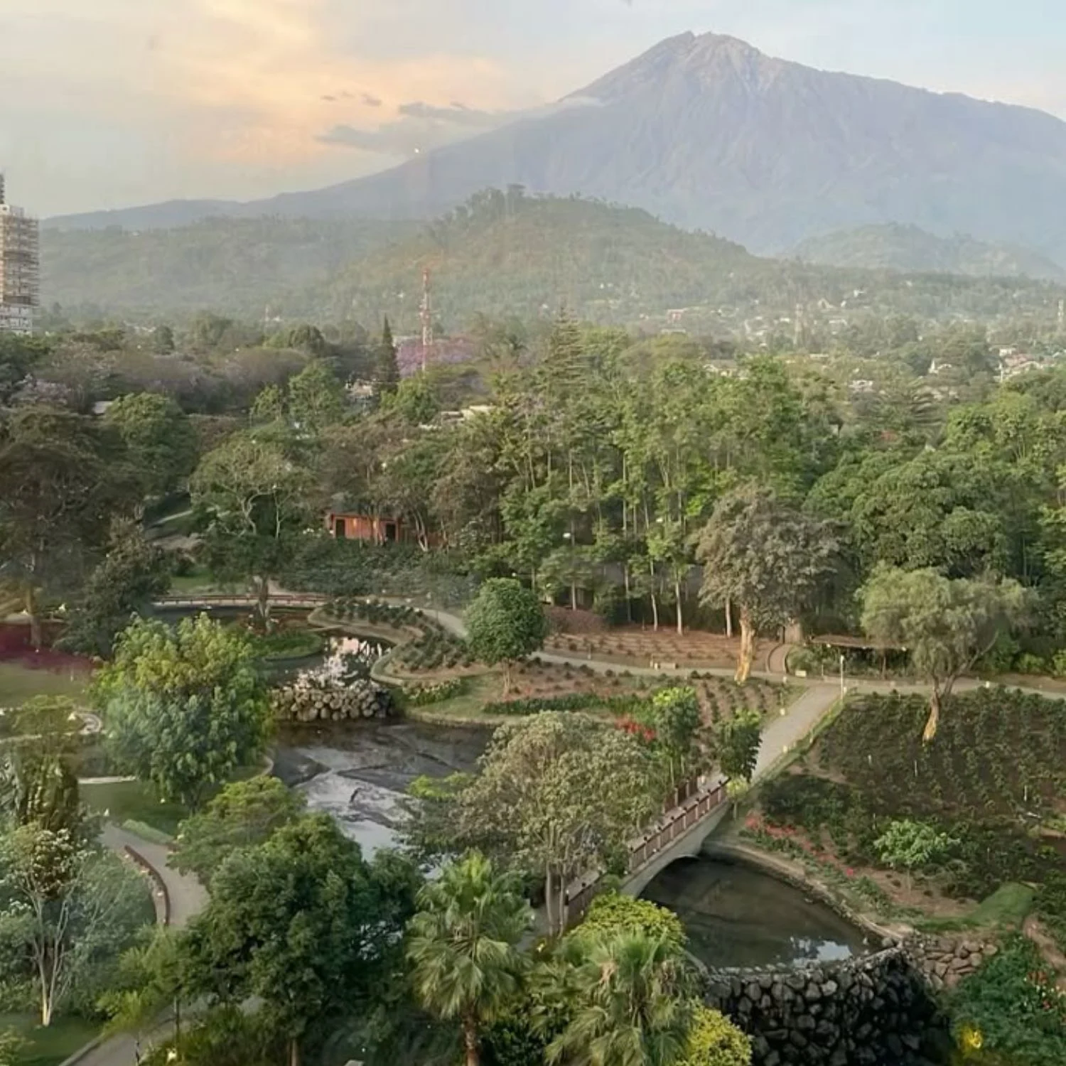 Serengeti Morning Safari – Travel Toward Ngorongoro