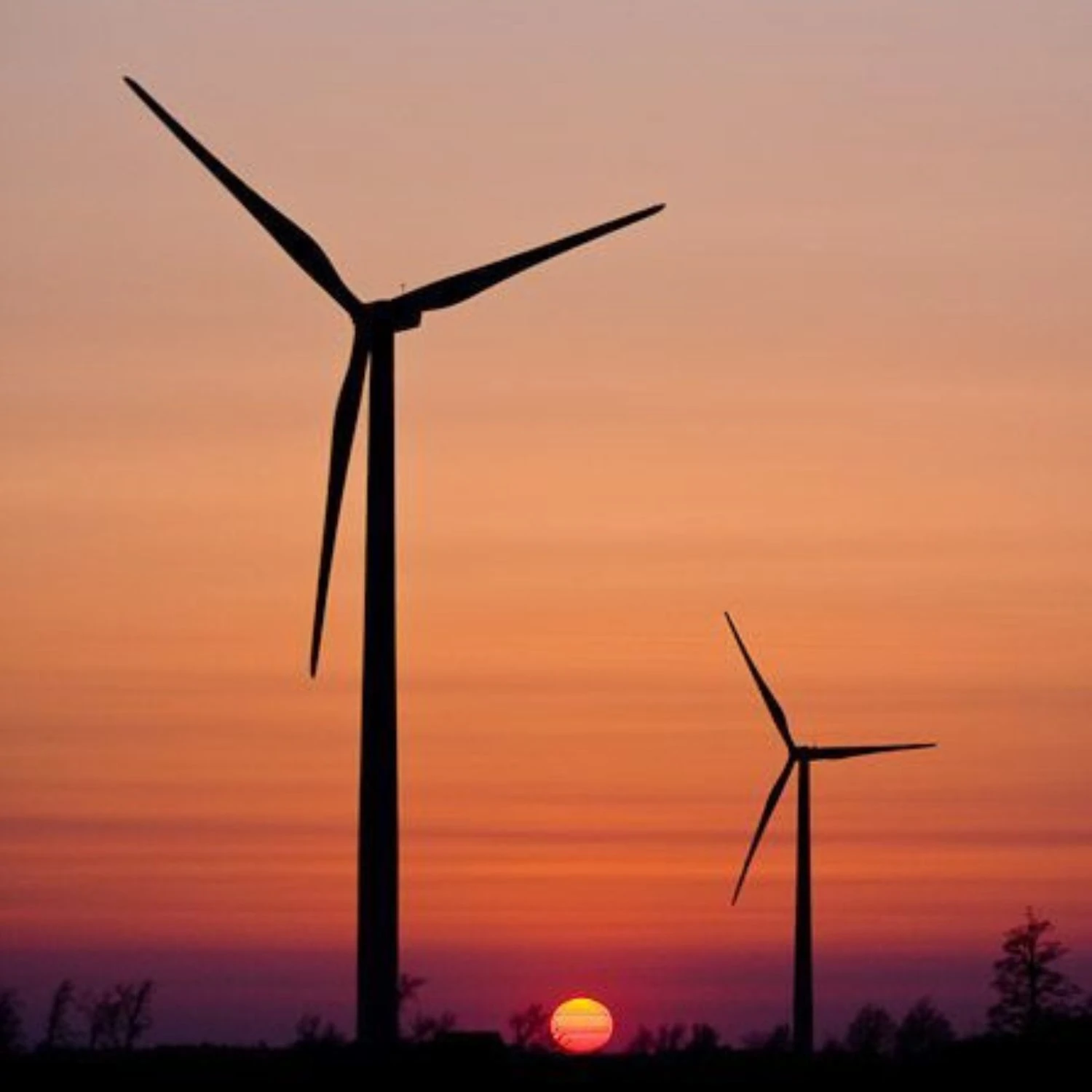 Leisure Time for Shopping and Relaxation