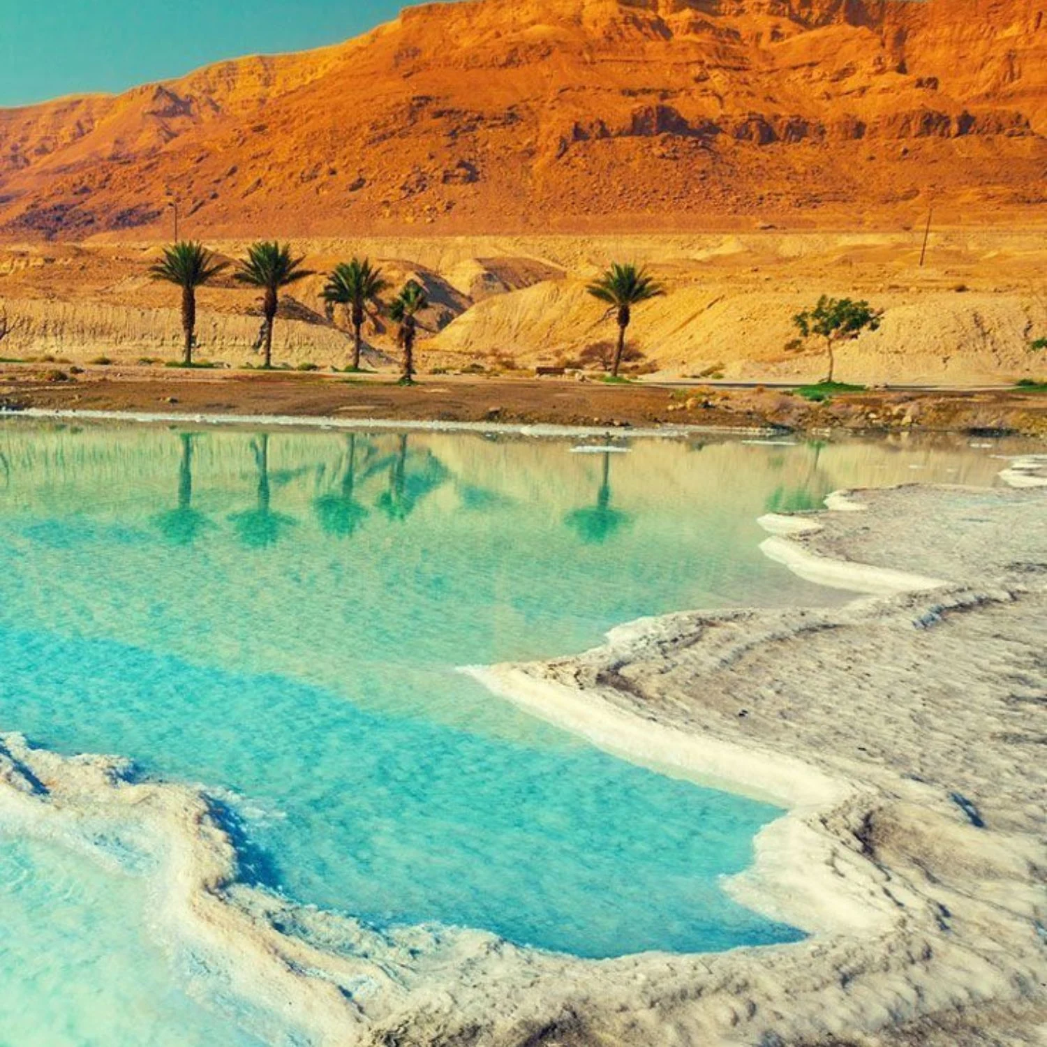 Dead Sea Relaxation & Therapeutic Experience
