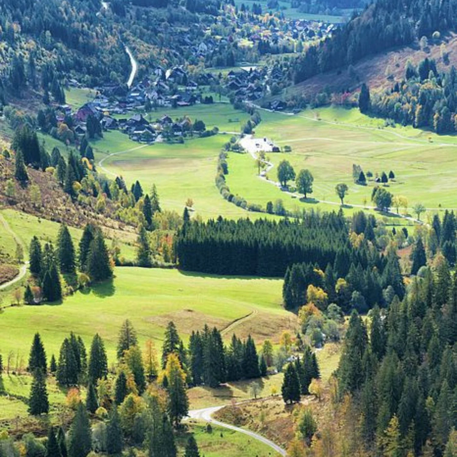 Transfer to Black Forest; Scenic Drive and Hiking