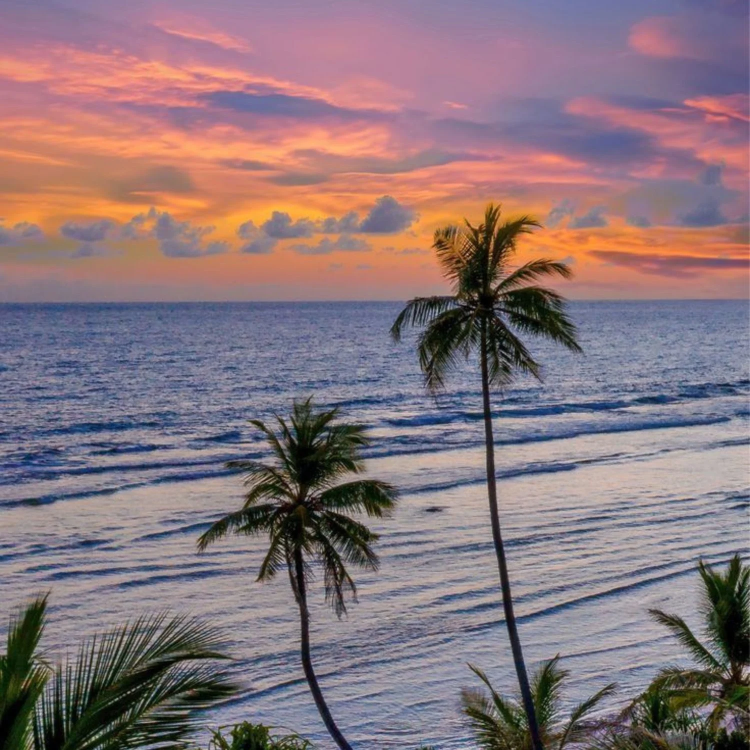 Arrival in Goa – Beach Relaxation and Welcome Dinner