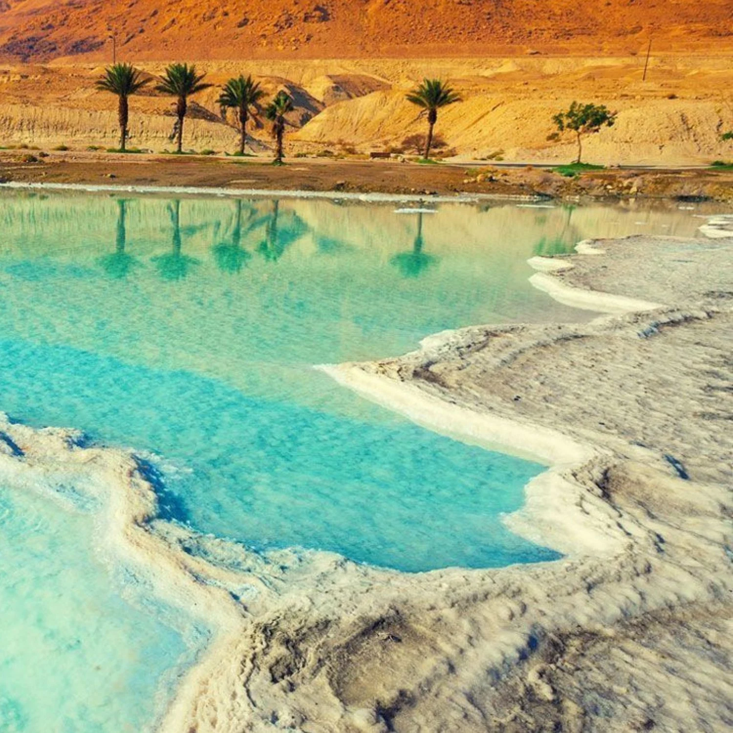 Dead Sea Excursion and Relaxation