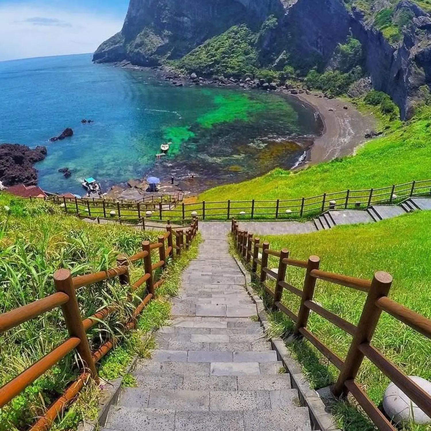 Jeju Island Sightseeing and Relaxation