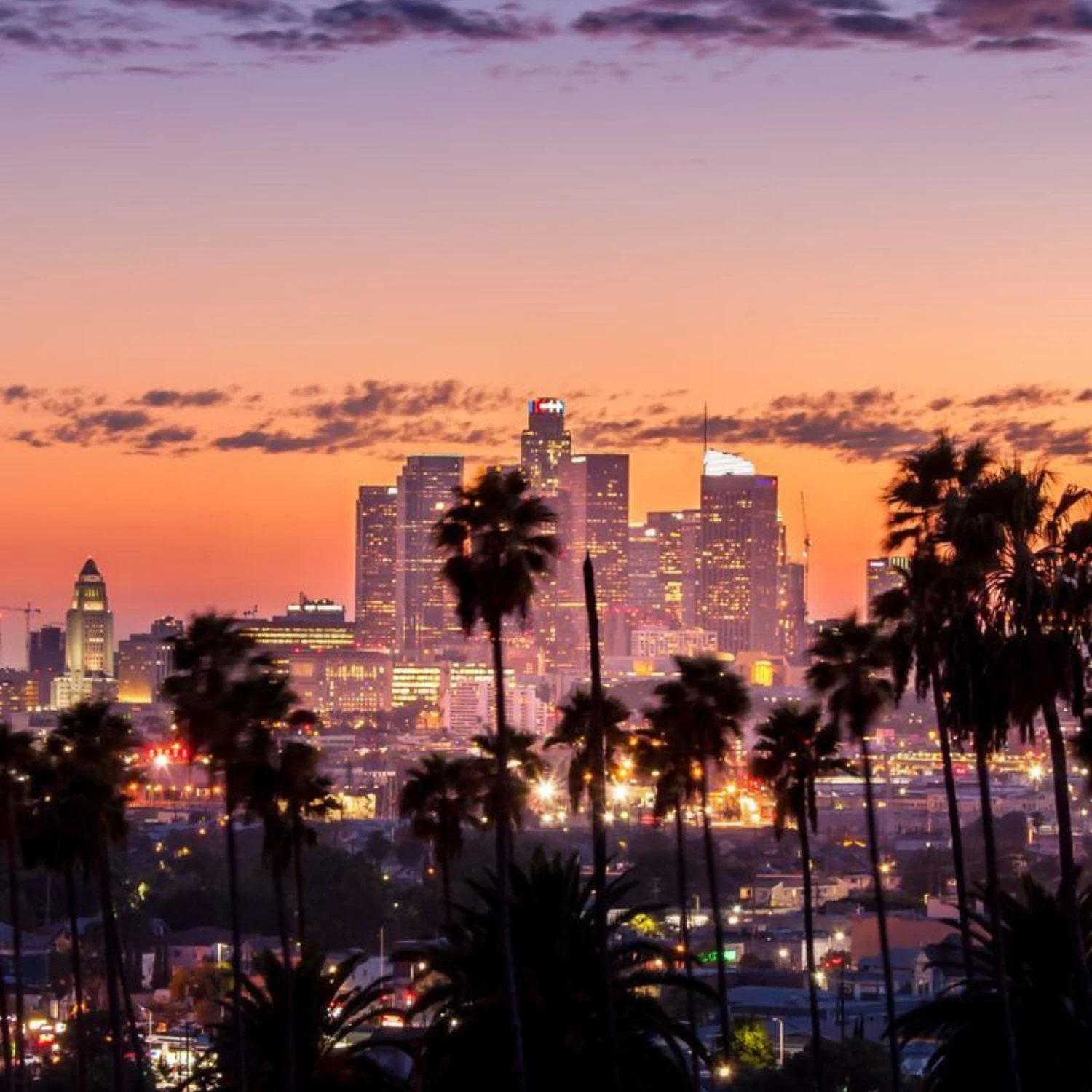 Hollywood City Tour & Los Angeles Sightseeing
