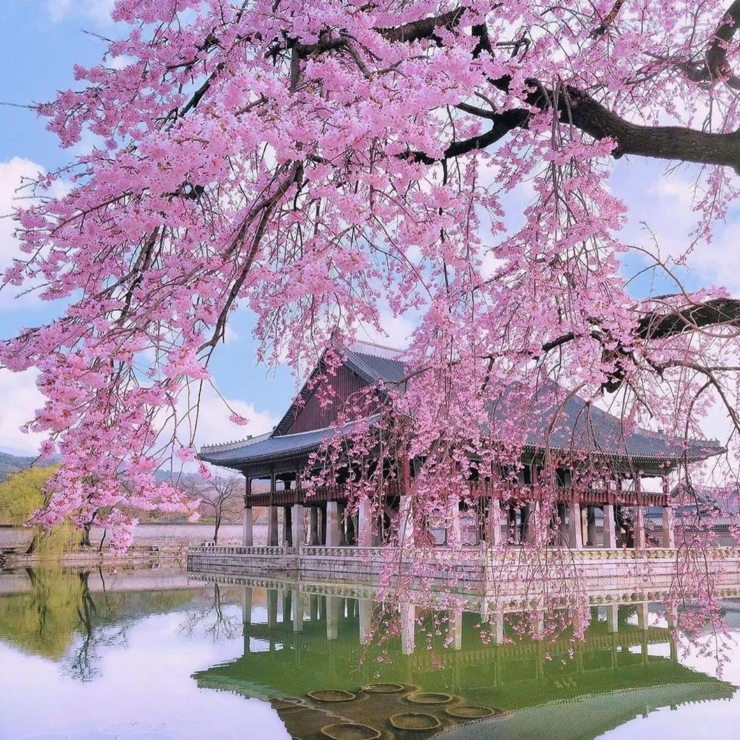 Departure from Jeju Island